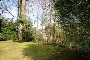COMMUNAL GARDEN- click for photo gallery